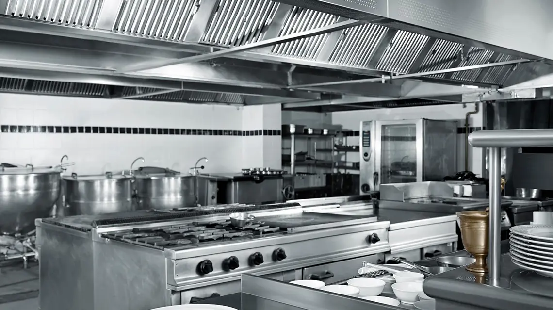 Controlo de pragas em cozinha industrial